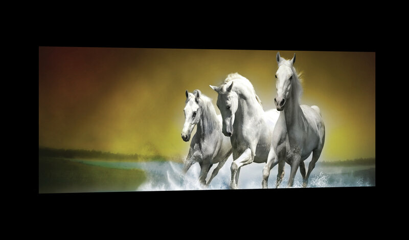 White Horses Galloping on Water Canvas Schilderij PP20300O3