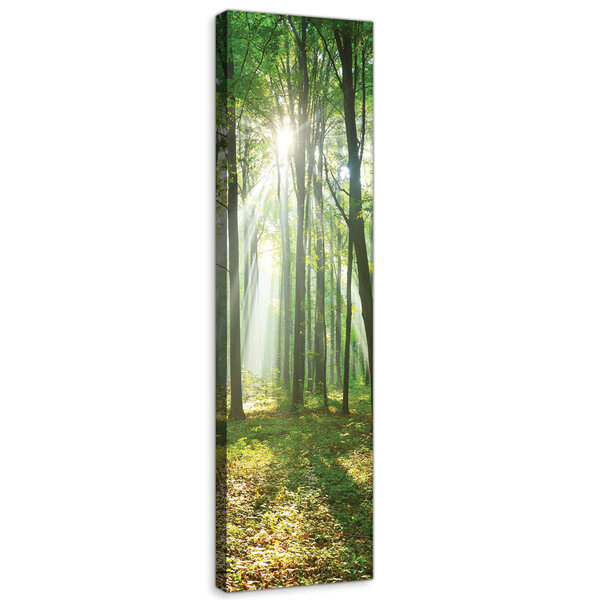 Forest in Daylight Canvas Schilderij PP10329O3