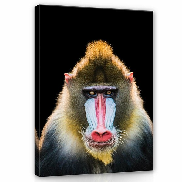 Monkey Canvas Schilderij PP12723O1