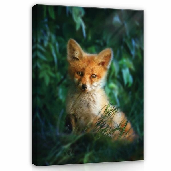 Fox in the egrass Canvas Schilderij PP12522O1