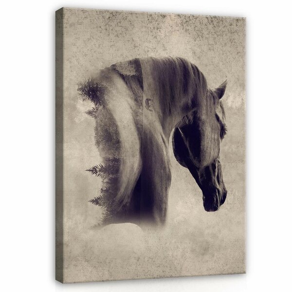 Horse Canvas Schilderij PP13604O1