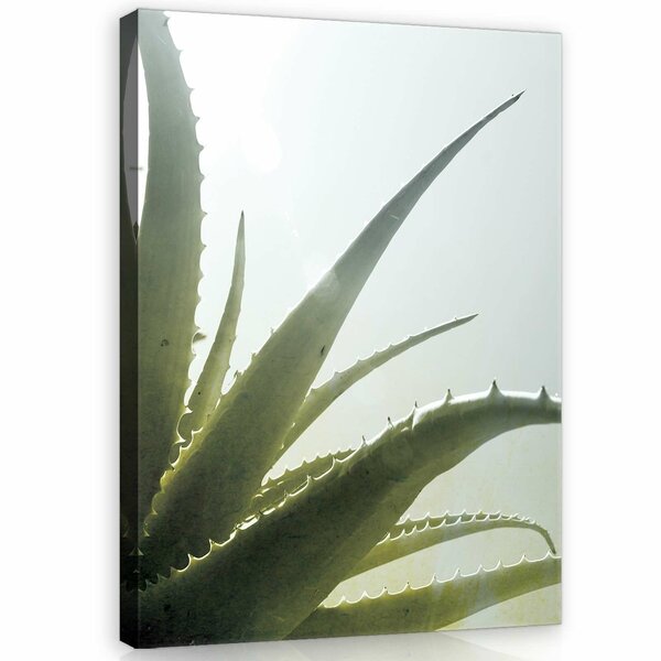 Cactus Canvas Schilderij PP11972O1