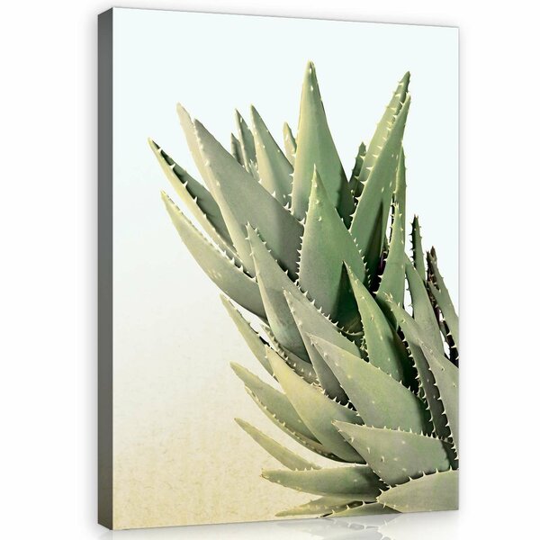 Cactus Canvas Schilderij PP11971O1