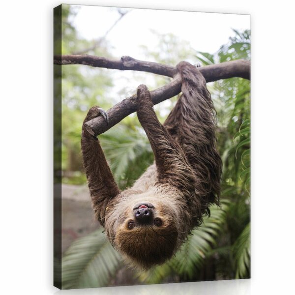 Sloth Canvas Schilderij PP11858O1