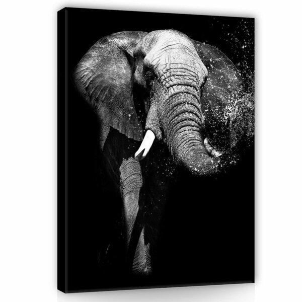 Elephant Canvas Schilderij PP11769O1