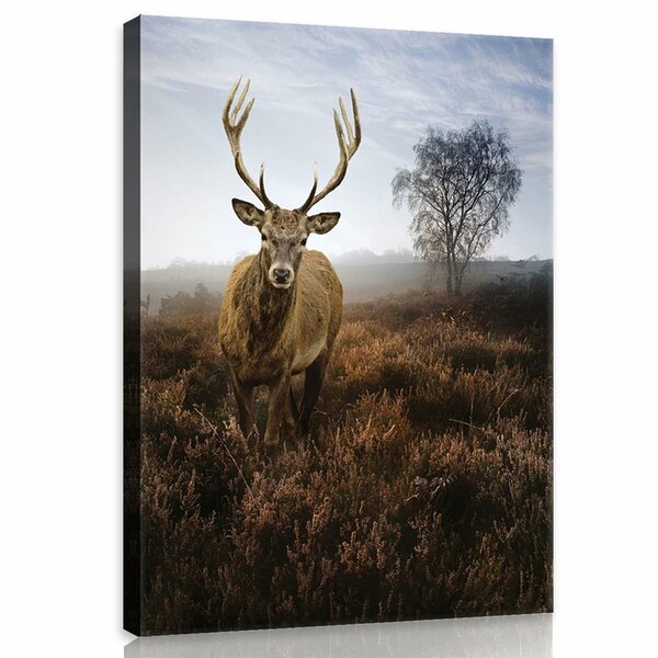 Deer on the Misty Meadow Canvas Schilderij PP10319O1
