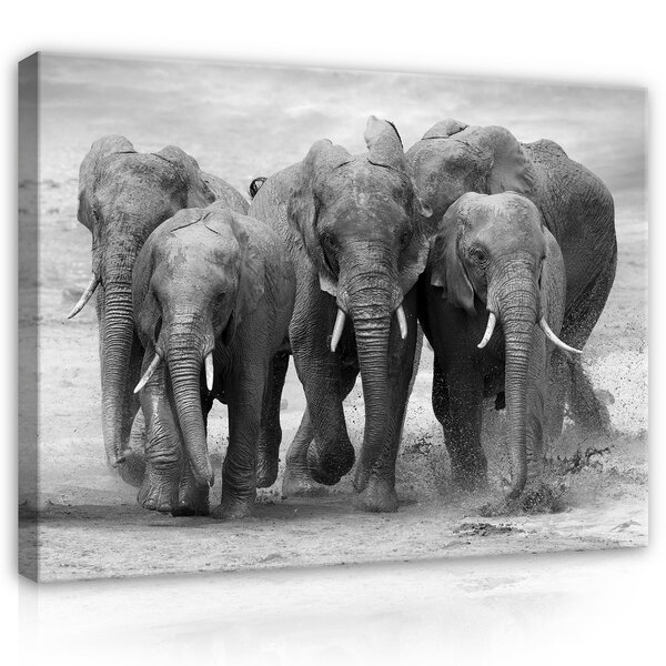 Elephants Canvas Schilderij PP11578O1