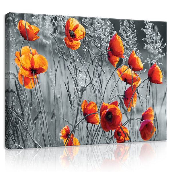 Poppies Canvas Schilderij PP11746O1