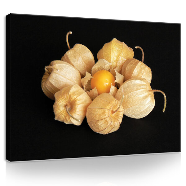 Physalis Canvas Schilderij PP11780O1