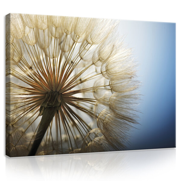 Dandelion Canvas Schilderij PP11792O1