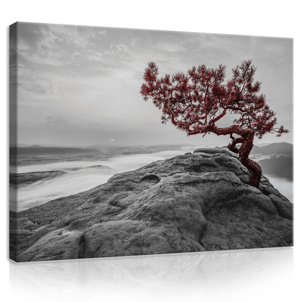 The tree on the rock Canvas Schilderij PP11771O1