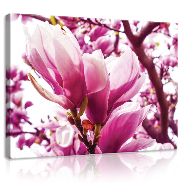 Pink Magnolia Canvas Schilderij PP20009O1