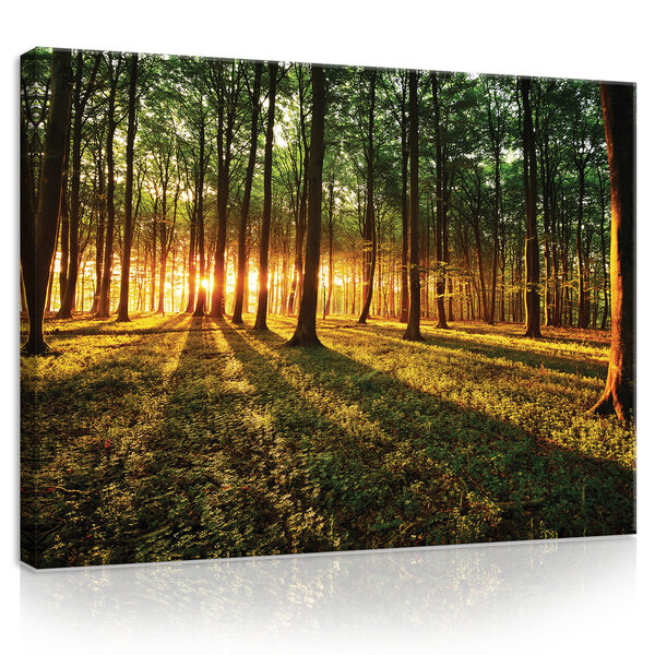 Sunny Forest Canvas Schilderij PP20006O1