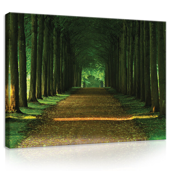 Dark Forest Alley Canvas Schilderij PP20005O1