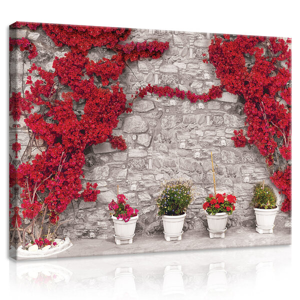 Bougainvillea on a stone wall Canvas Schilderij PP20008O1