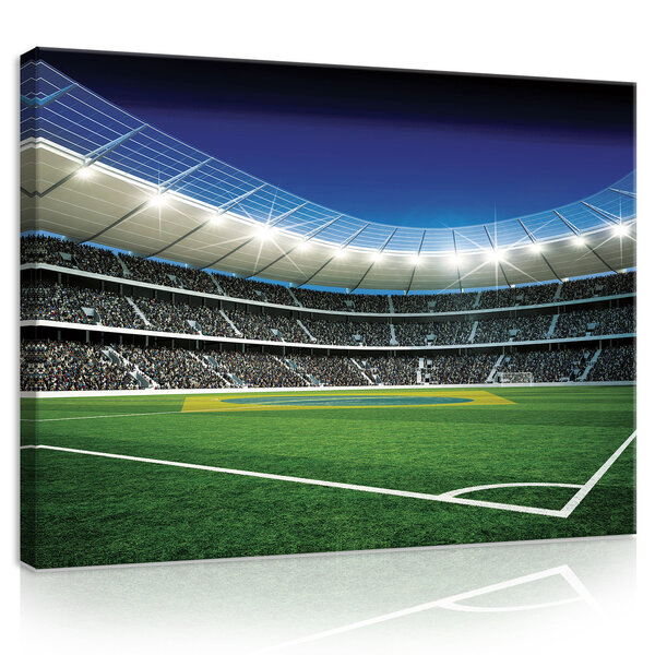 Football Pitch Canvas Schilderij PP20101O1