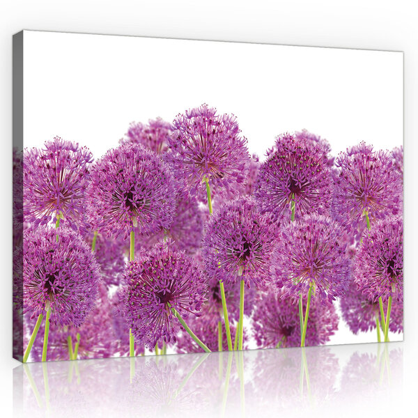Flower of garlic Canvas Schilderij PP11398O1