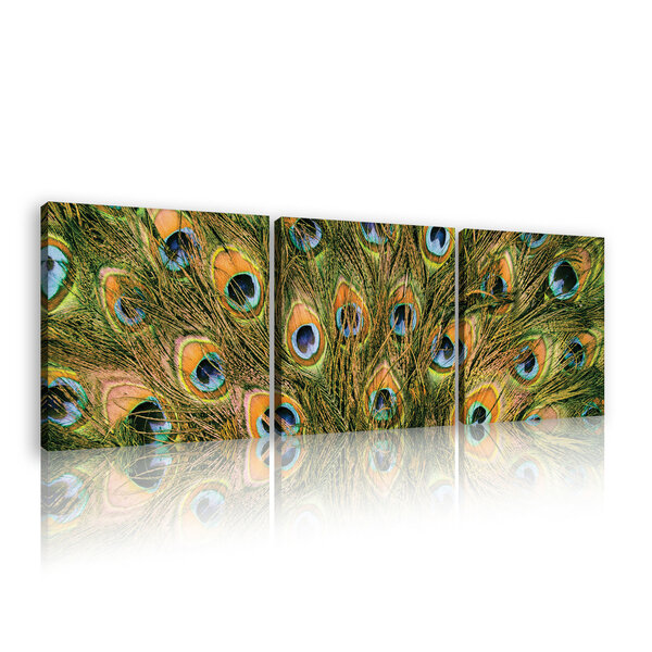 Peacock feather Canvas Schilderij PS11045S13