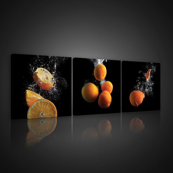Oranges Canvas Schilderij PS10547S13