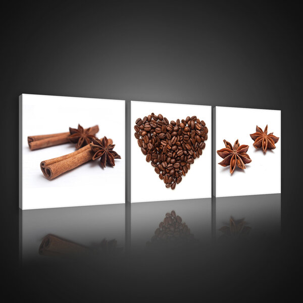 Coffee Beans and Spices Canvas Schilderij PS10524S13