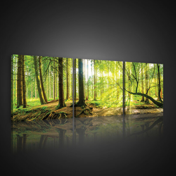 Sunny Forest Canvas Schilderij PS10513S13