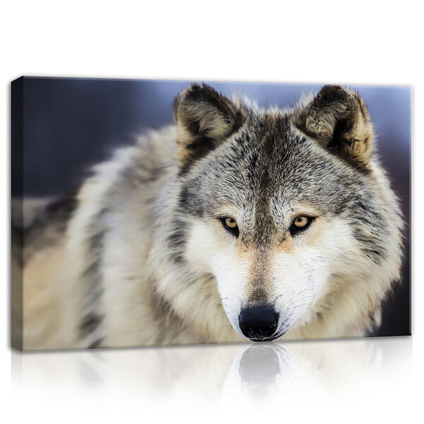 Snow Wolf Canvas Schilderij PP20308O4