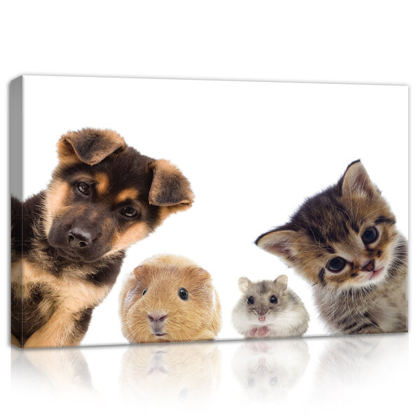 Animals Canvas Schilderij PP11785O4