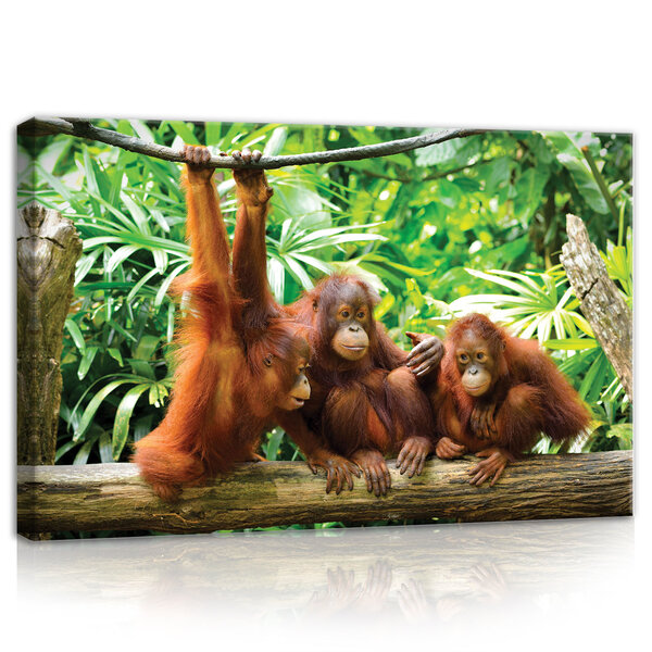 Orangutans in the Jungle Canvas Schilderij PP10230O4