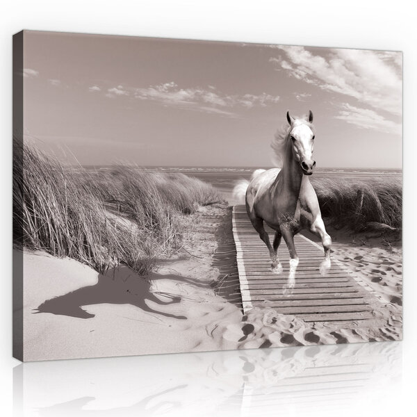 Horse Galloping on the Beach Canvas Schilderij PP10229O4