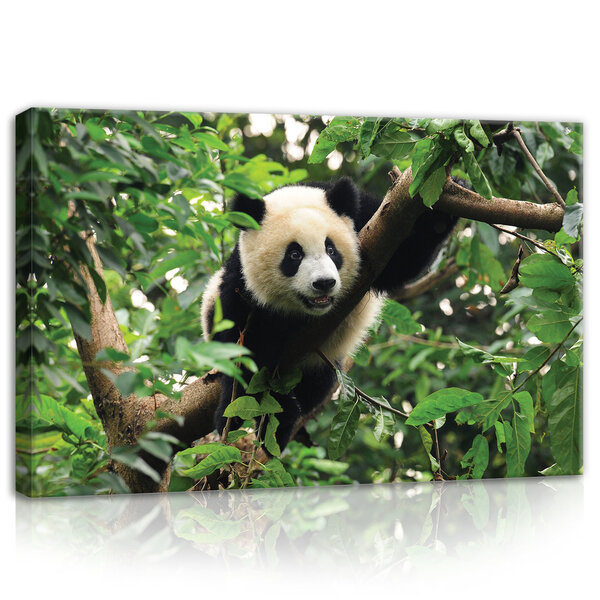 Panda Bear on the Tree Canvas Schilderij PP10238O4