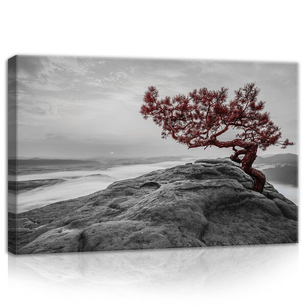 The tree on the rock Canvas Schilderij PP11771O4