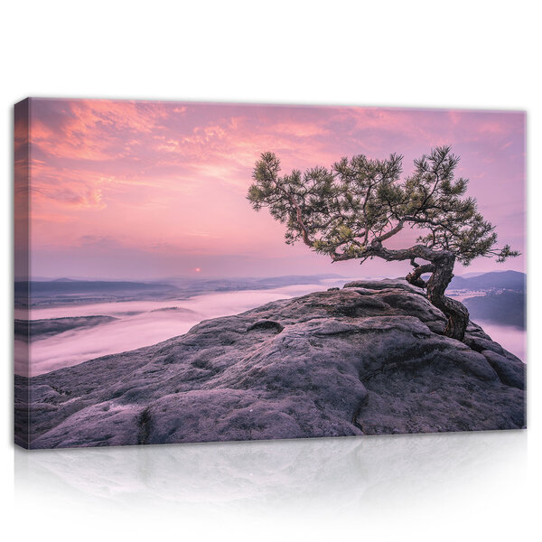 The tree on the rock Canvas Schilderij PP11749O4