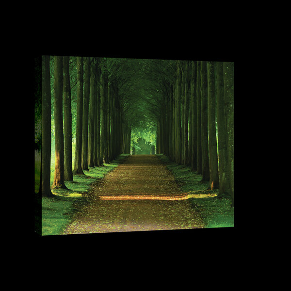 Dark Forest Alley Canvas Schilderij PP20005O4