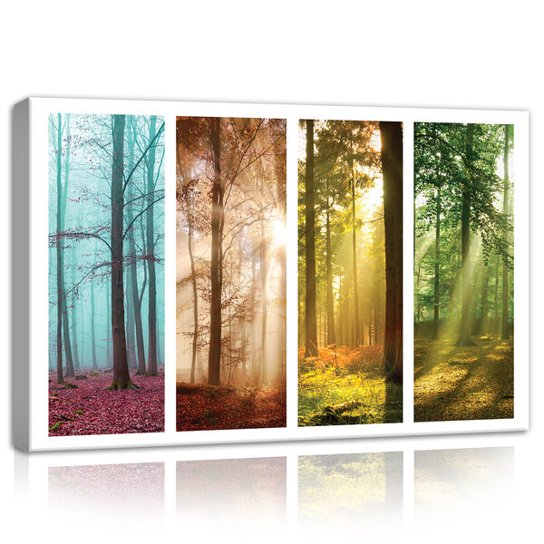 Forests Canvas Schilderij PP11684O4