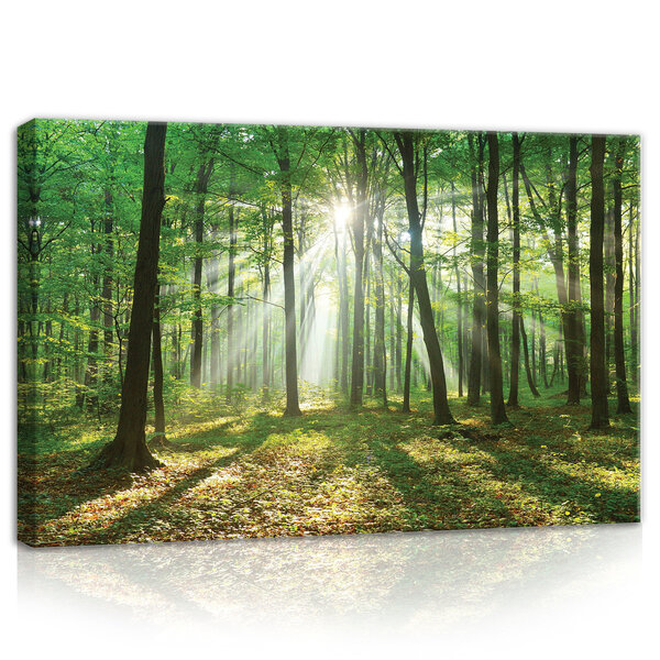 Forest in Daylight Canvas Schilderij PP10329O4