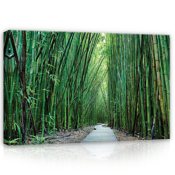Bamboo Canvas Schilderij PP12632O4