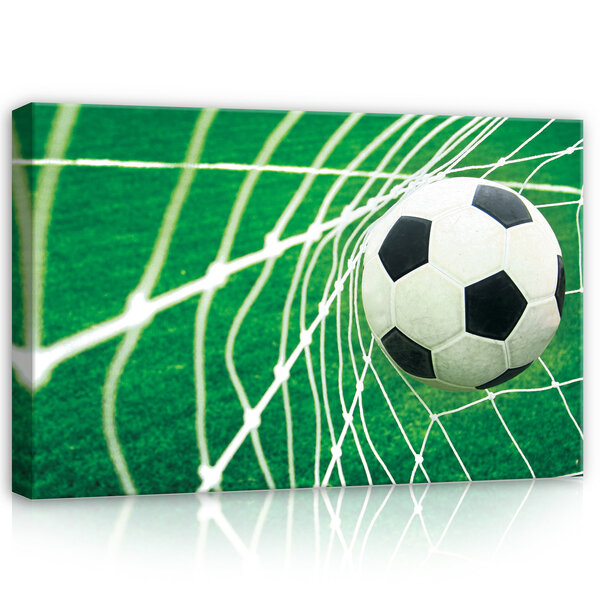 Ball in Goal Canvas Schilderij PP20125O4