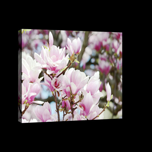 Spring Blooming Flowers Canvas Schilderij PP2463O4