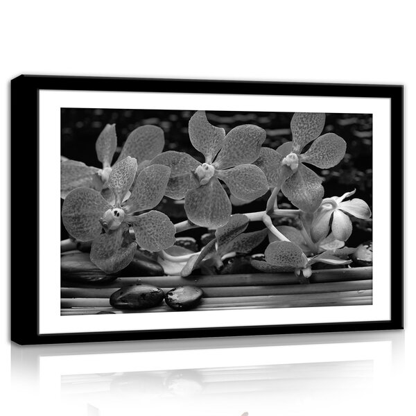 Flowers Canvas Schilderij PP11308O4