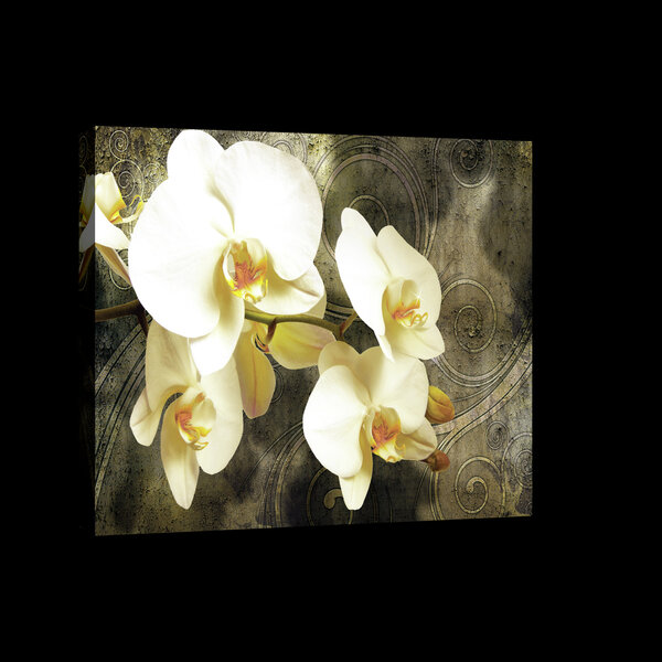 Orchids on Tree Bark Canvas Schilderij PP20032O4