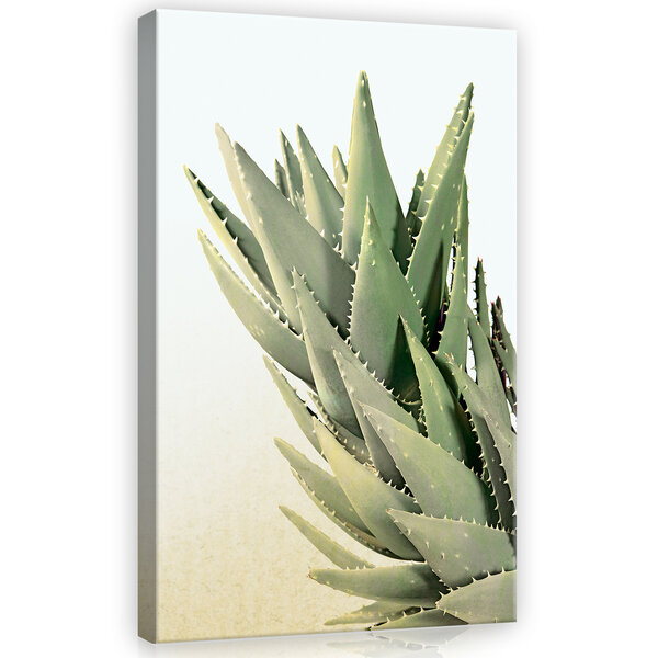 Cactus Canvas Schilderij PP11971O4