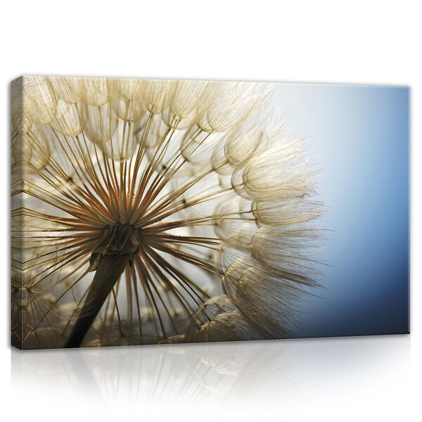 Dandelion Canvas Schilderij PP11792O4