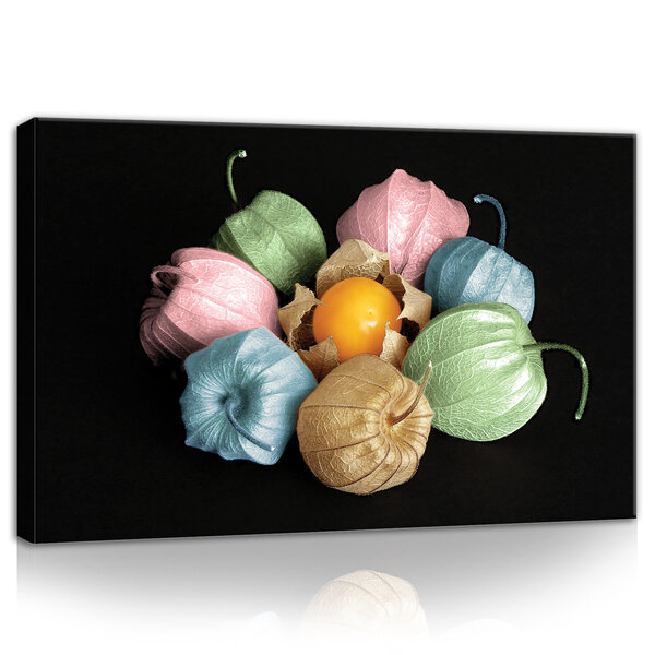 Physalis Canvas Schilderij PP11781O4