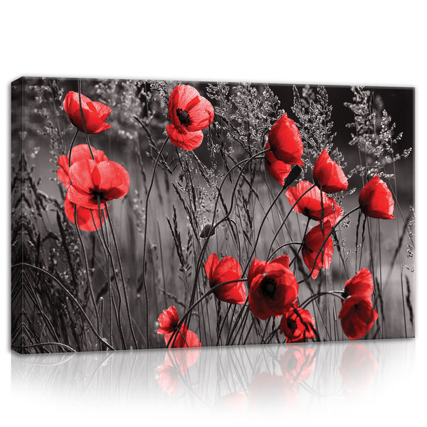 Poppies  Canvas Schilderij PP11763O4