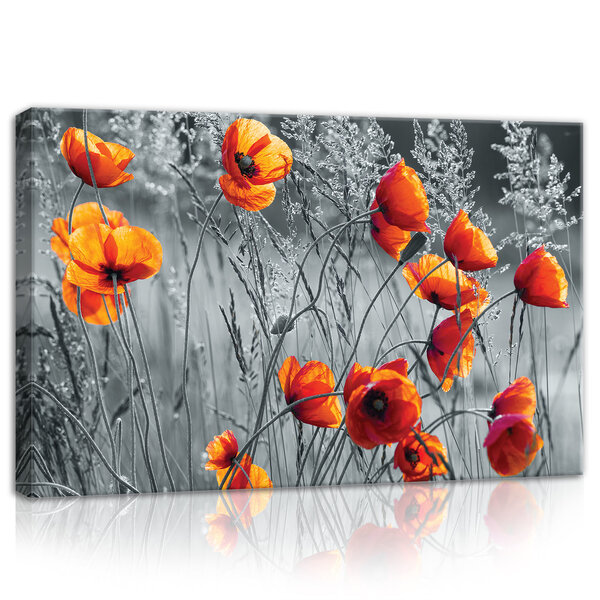 Poppies Canvas Schilderij PP11746O4