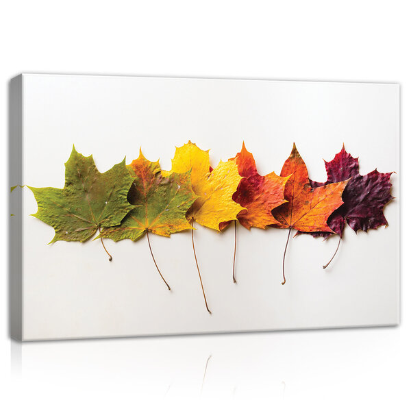 Leaves in autumn Canvas Schilderij PP11719O4