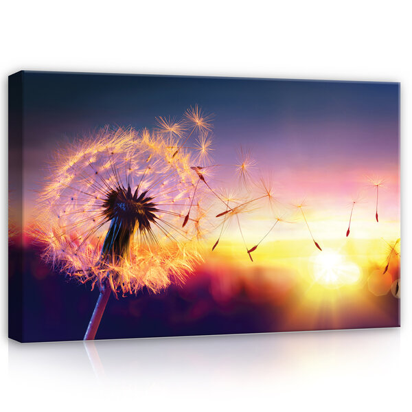 Dandelion Canvas Schilderij PP11416O4