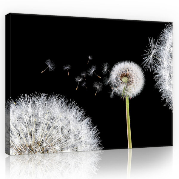 Dandelions Canvas Schilderij PP10165O4