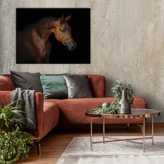 Brown horse on black background Canvas Schilderij PP13602O1