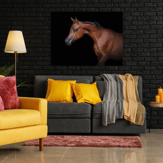 Brown horse on black background Canvas Schilderij PP13601O1